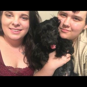 Meet your Posher, Cody